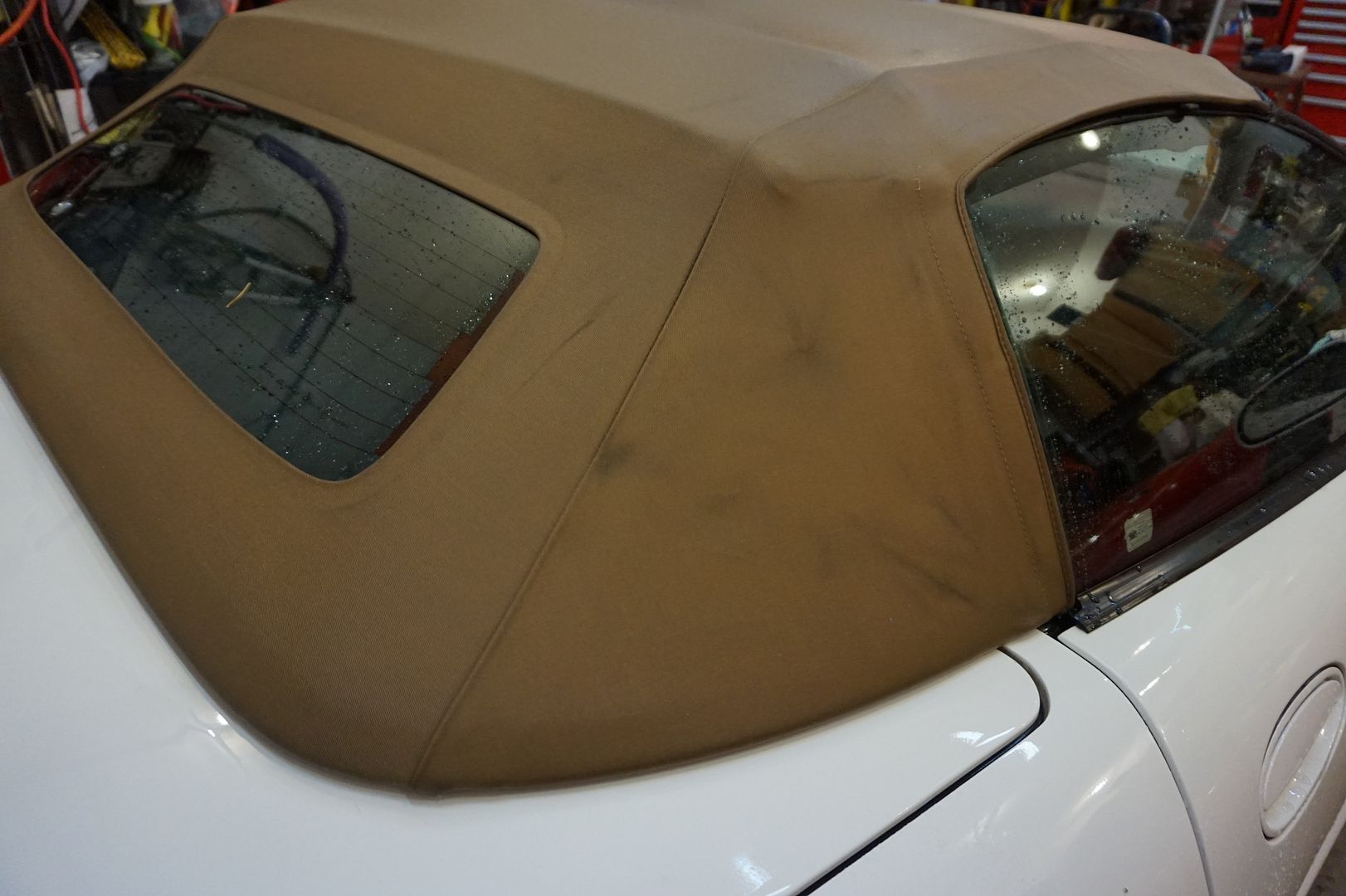 Mold/Mildew stained Tan convertible top wont clean up Help Page 6
